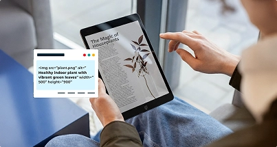 Accessibility and Compliance Formatting